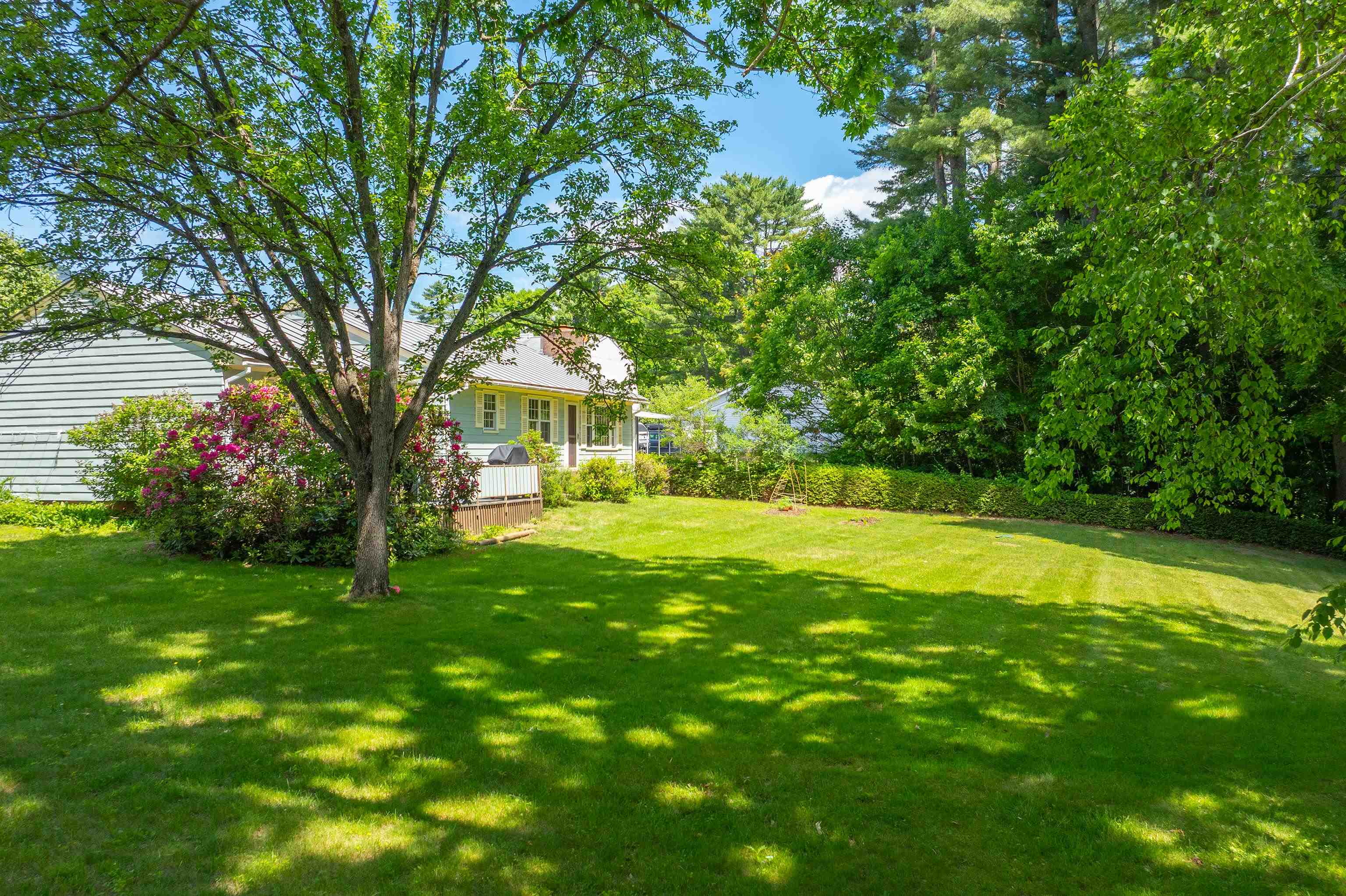 56 Jenness Road