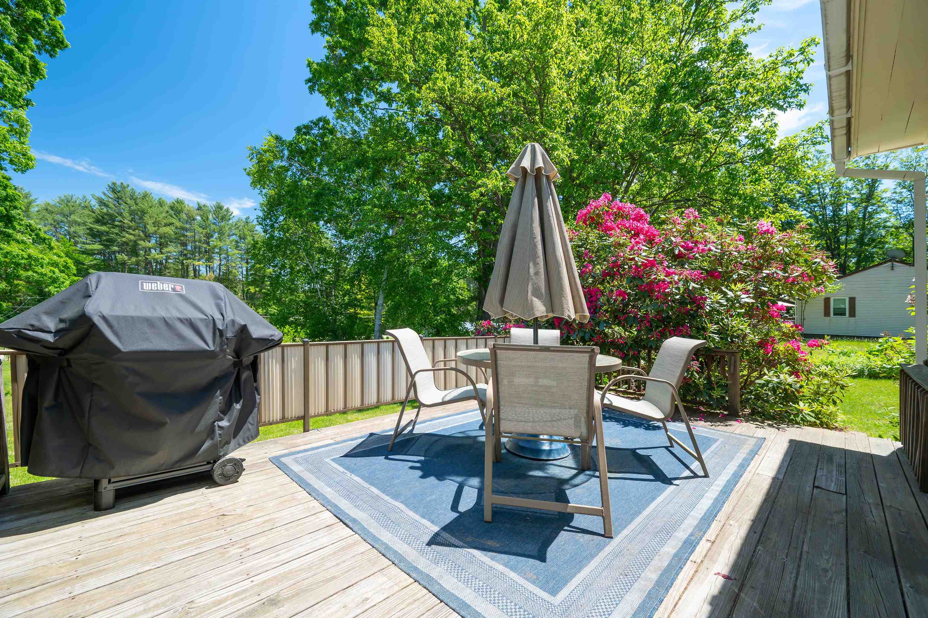 56 Jenness Road