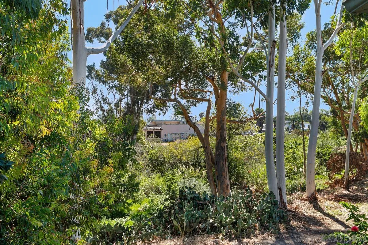 4647 Pico Street Unit 205