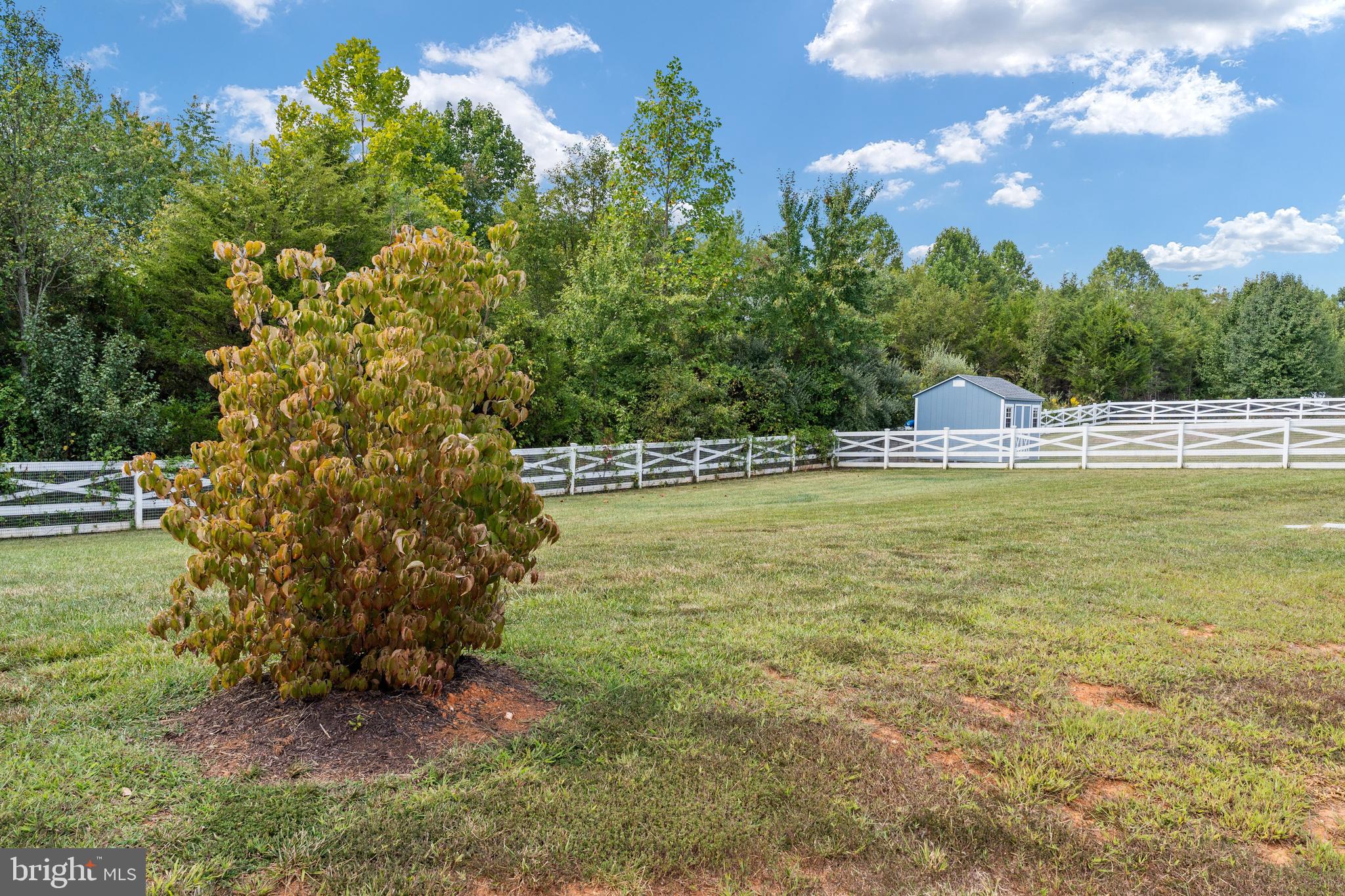 14621 Manorwood