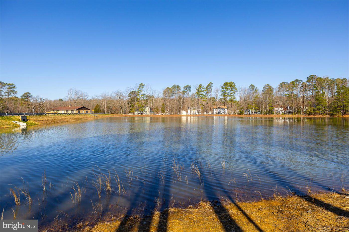 203 Remington Dr