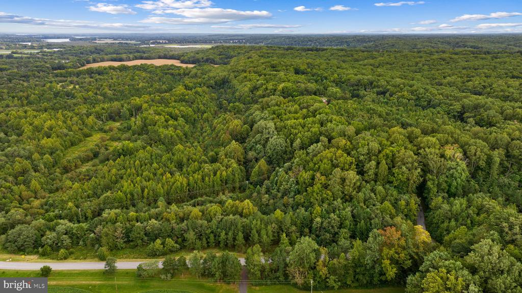 Aerial view of a densely wooded property with a road along its foreground.