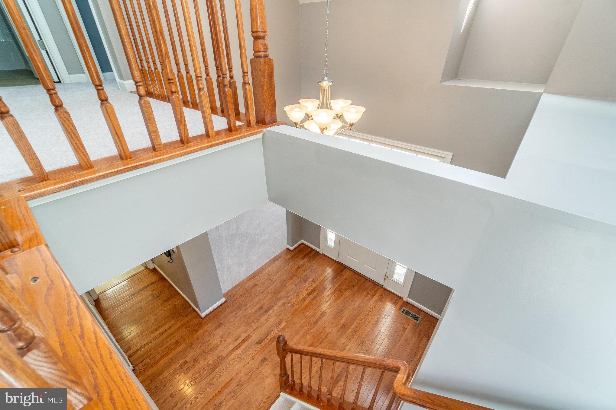 1117 Wright Ct