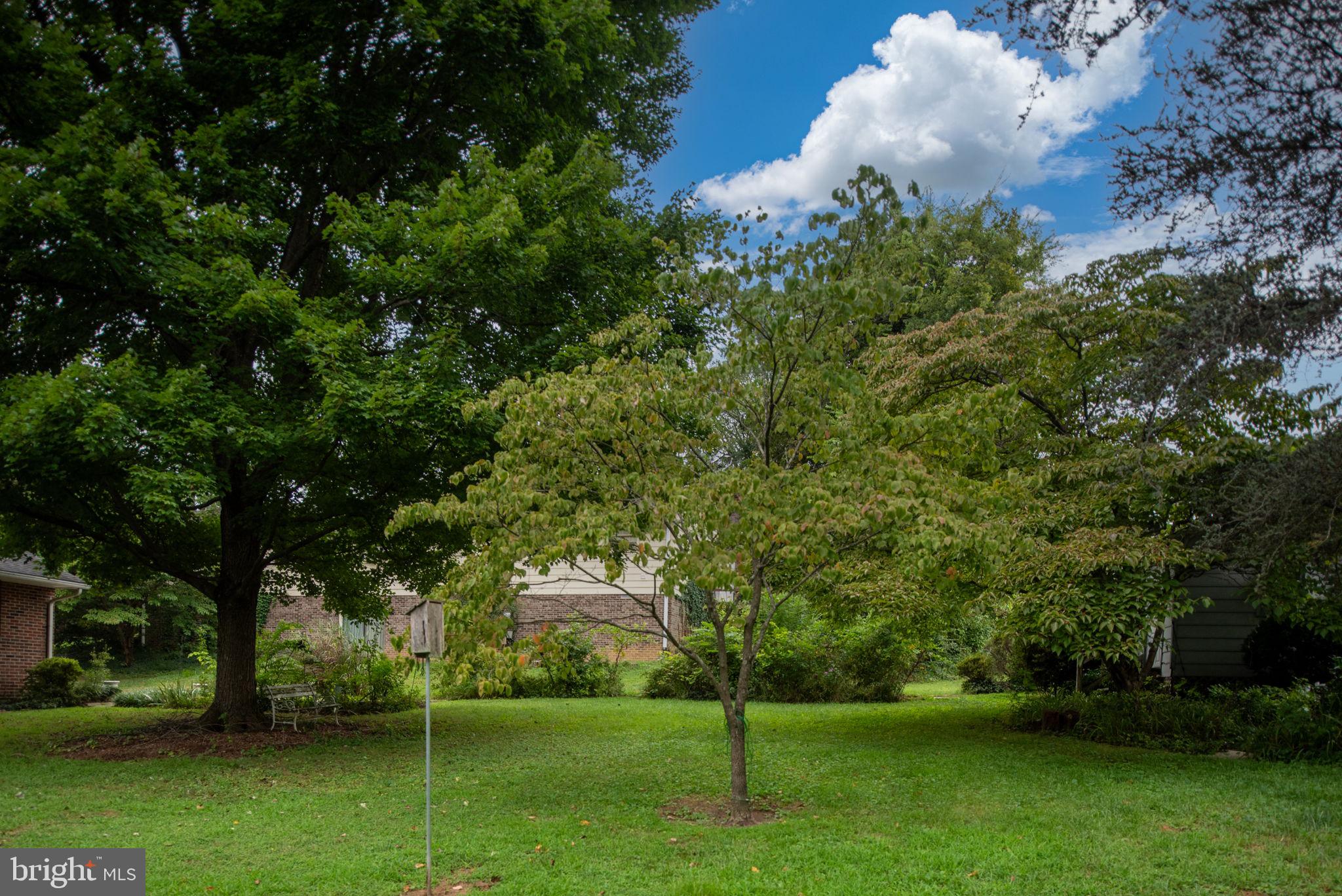 209 Stonewall Dr