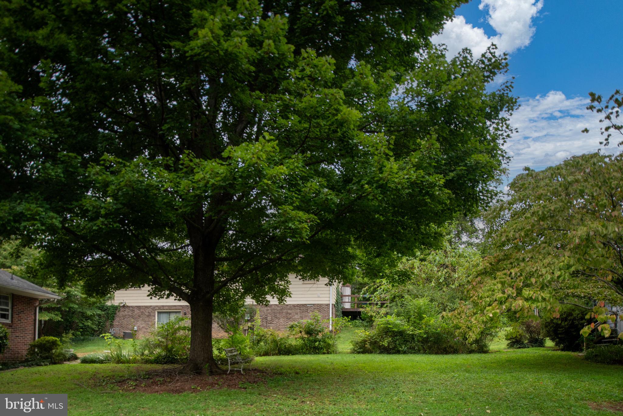 209 Stonewall Dr