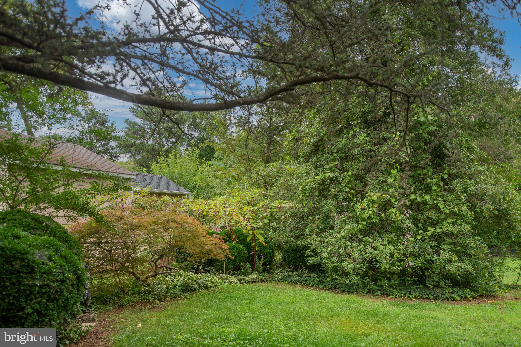 209 Stonewall Dr