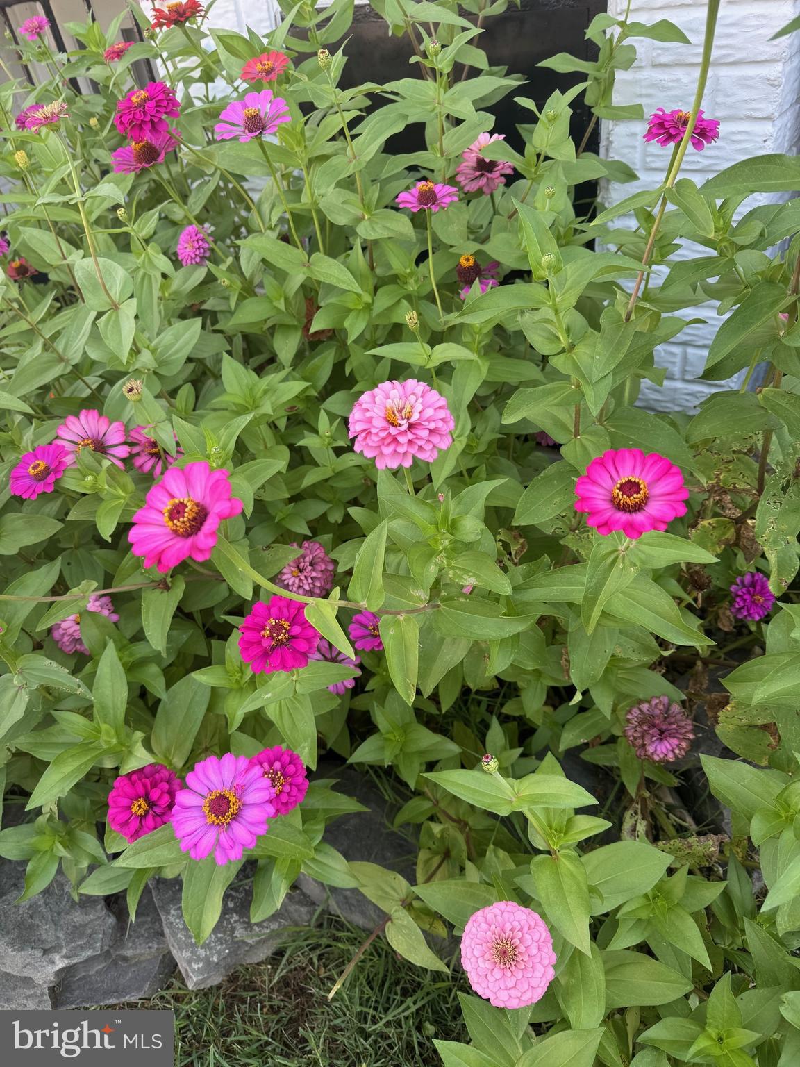 165 FAIRFIELD DRIVE C