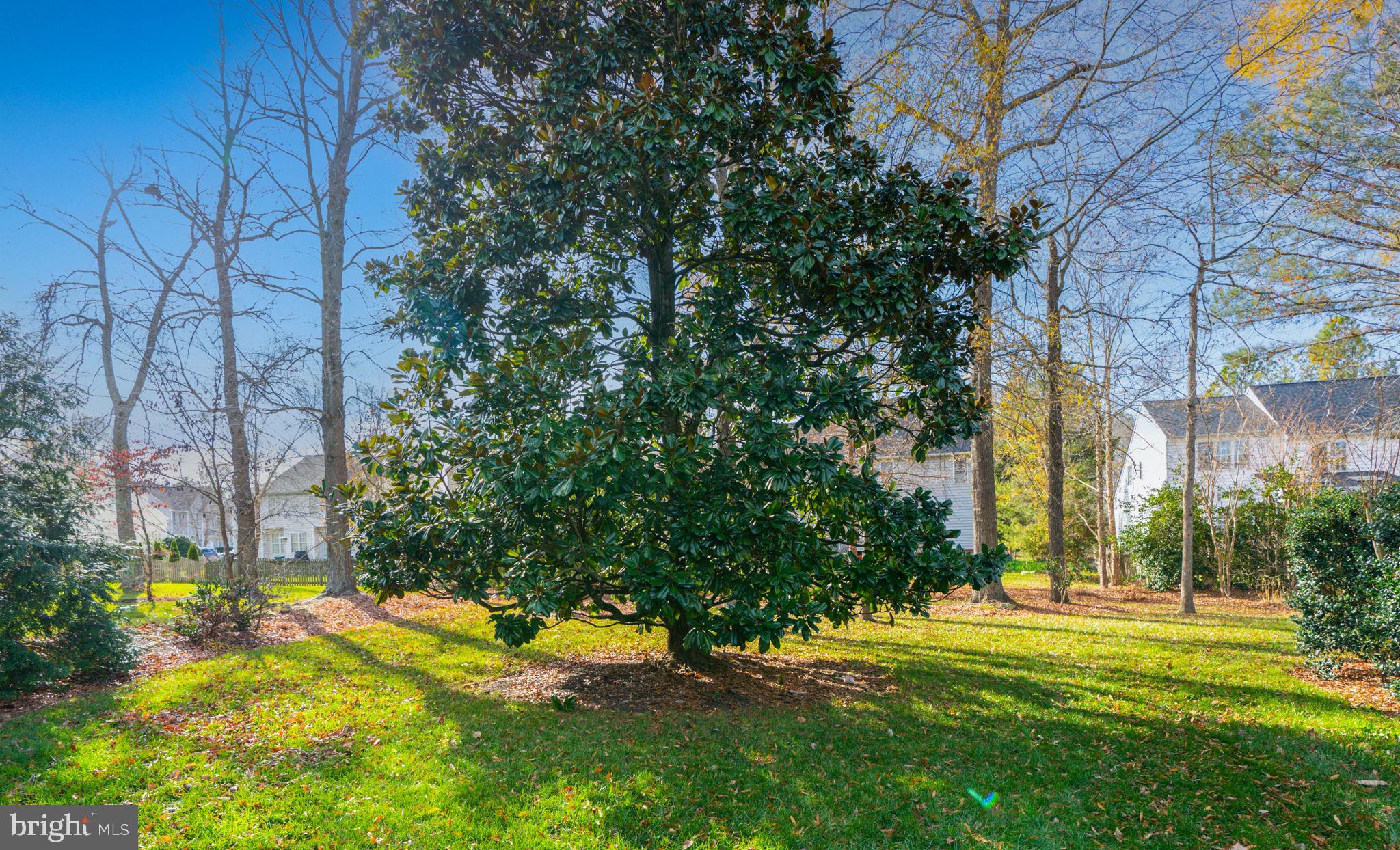 12631 Amershire Ct