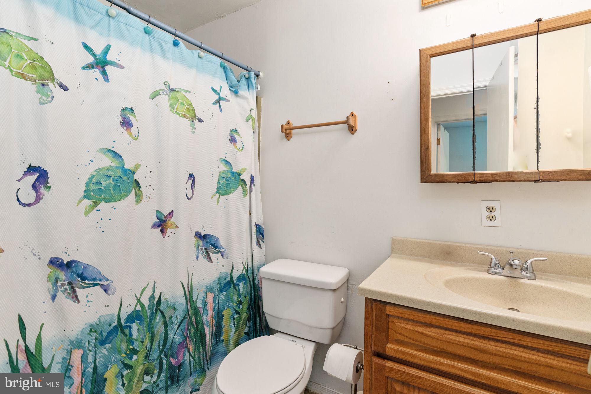 10208 WOODSIDE LANE