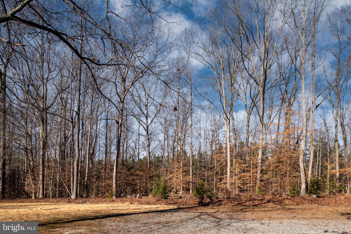 1603 Herring Creek Rd