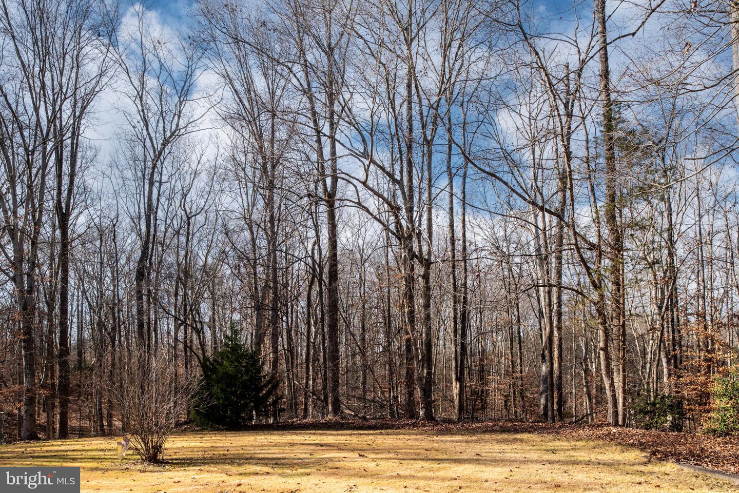 1603 Herring Creek Rd