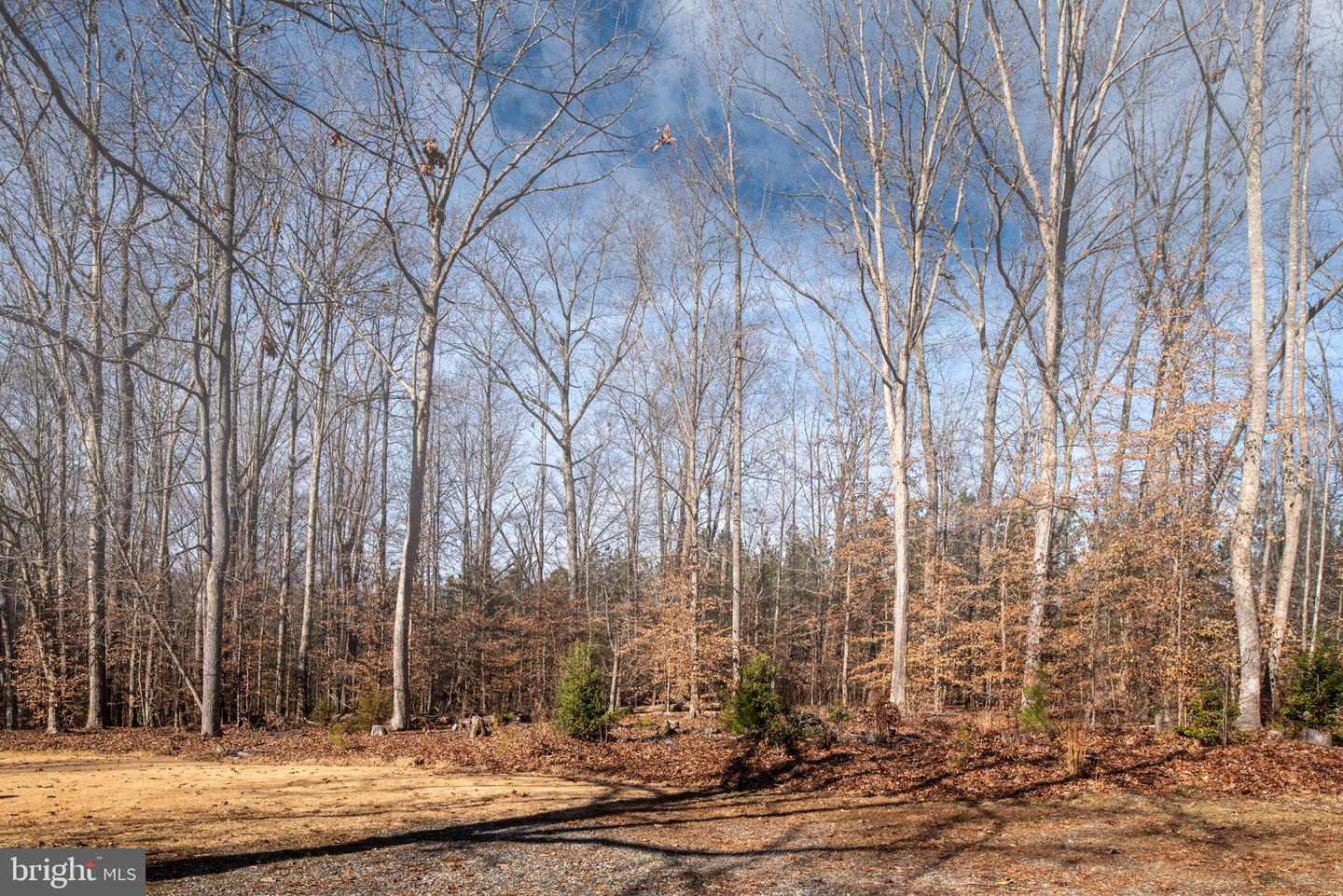 1603 Herring Creek Rd