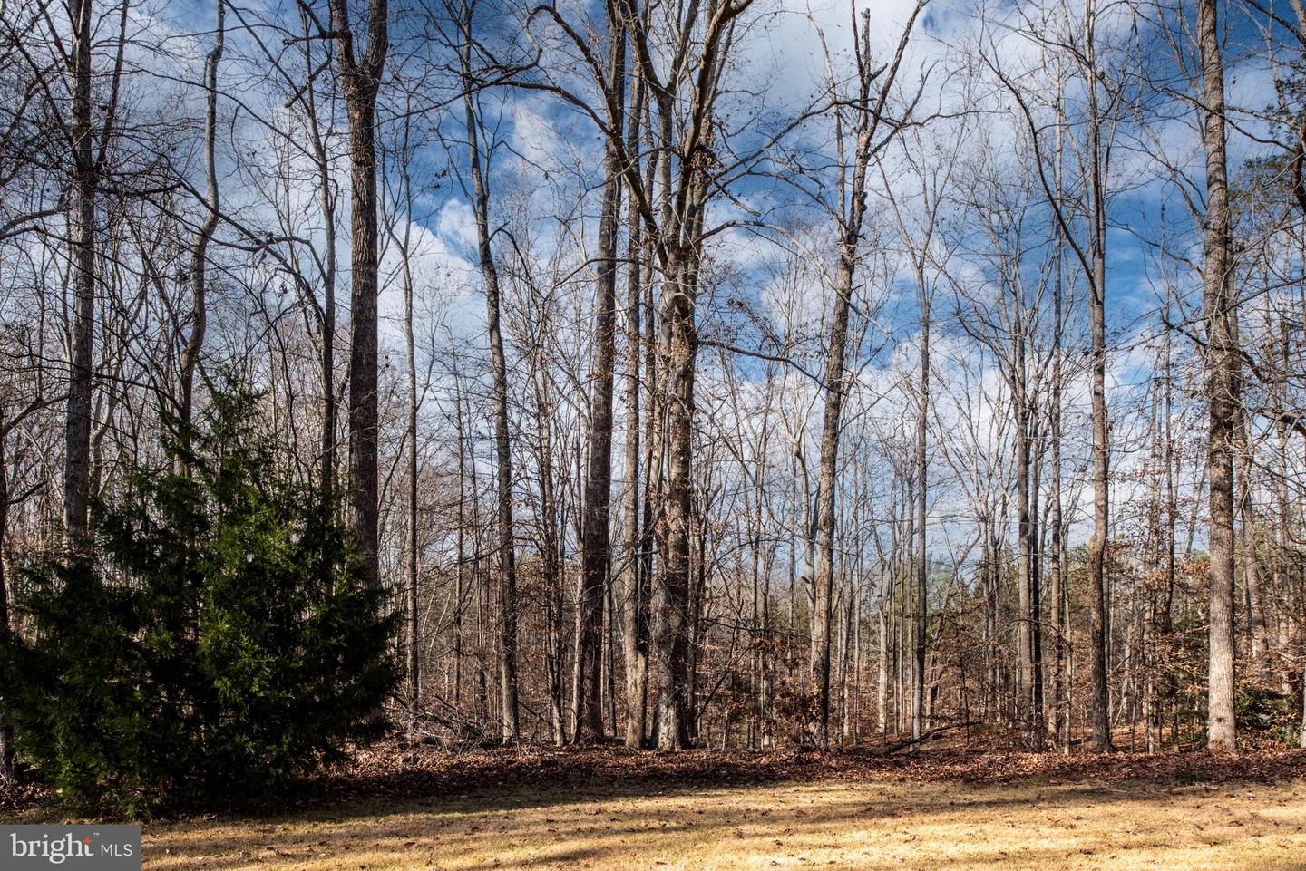 1603 Herring Creek Rd