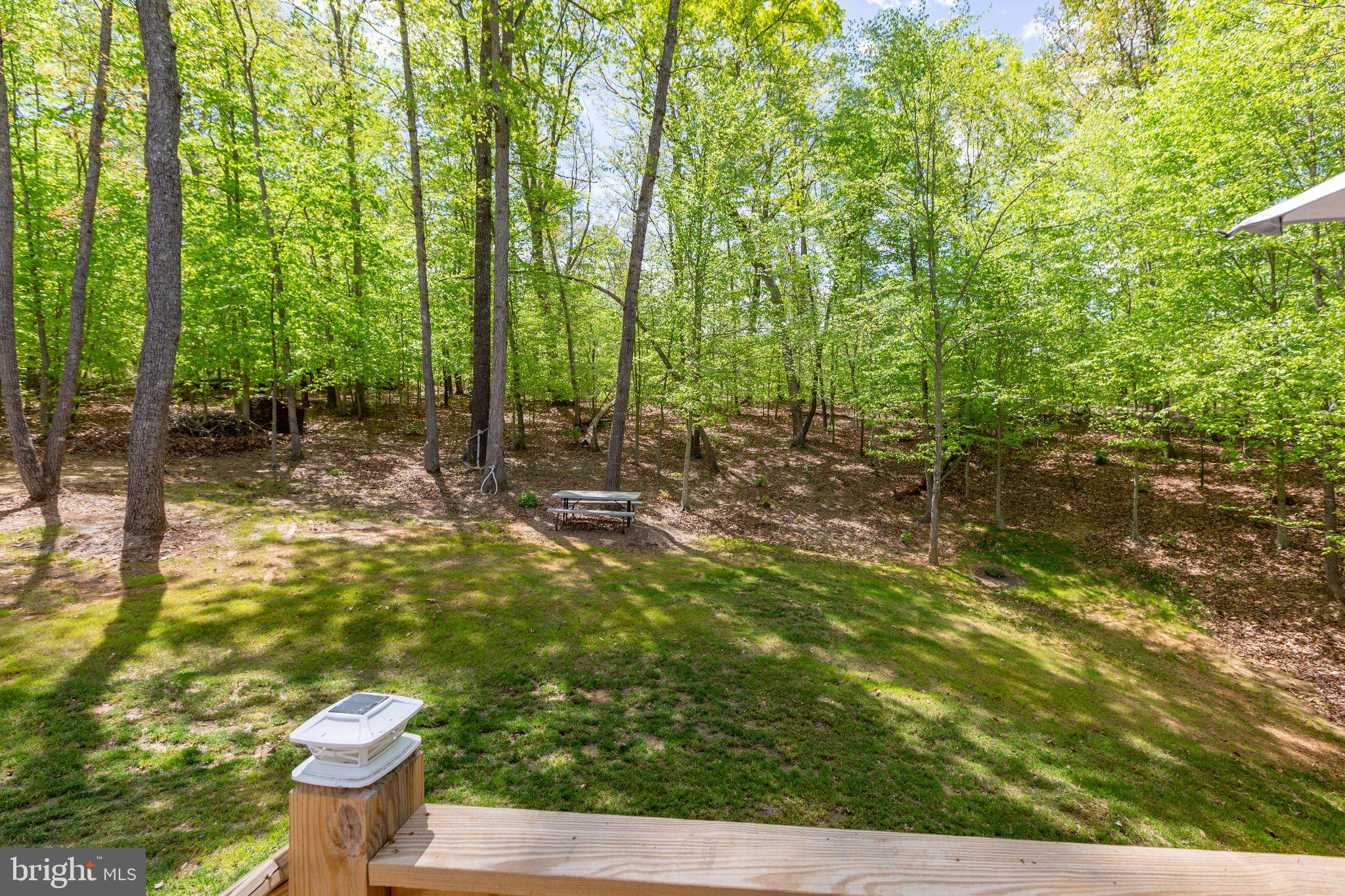 65 Goldenberry Ln