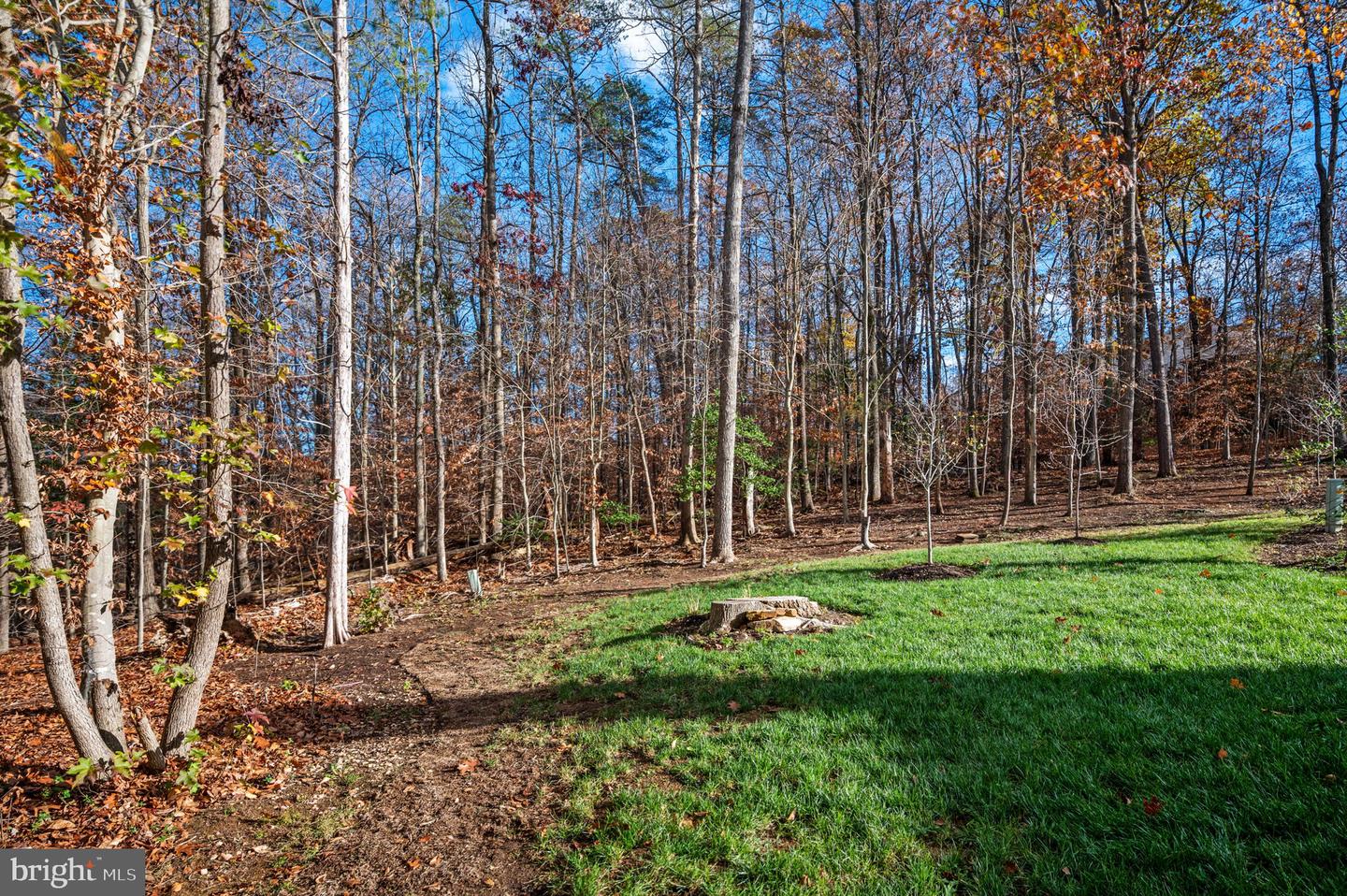 10111 Blandfield Ln