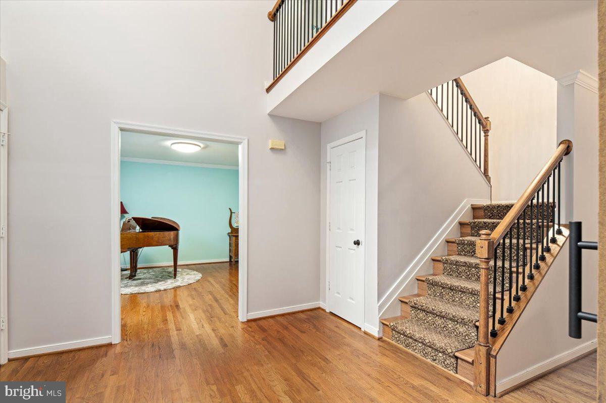 8001 Beau Ct