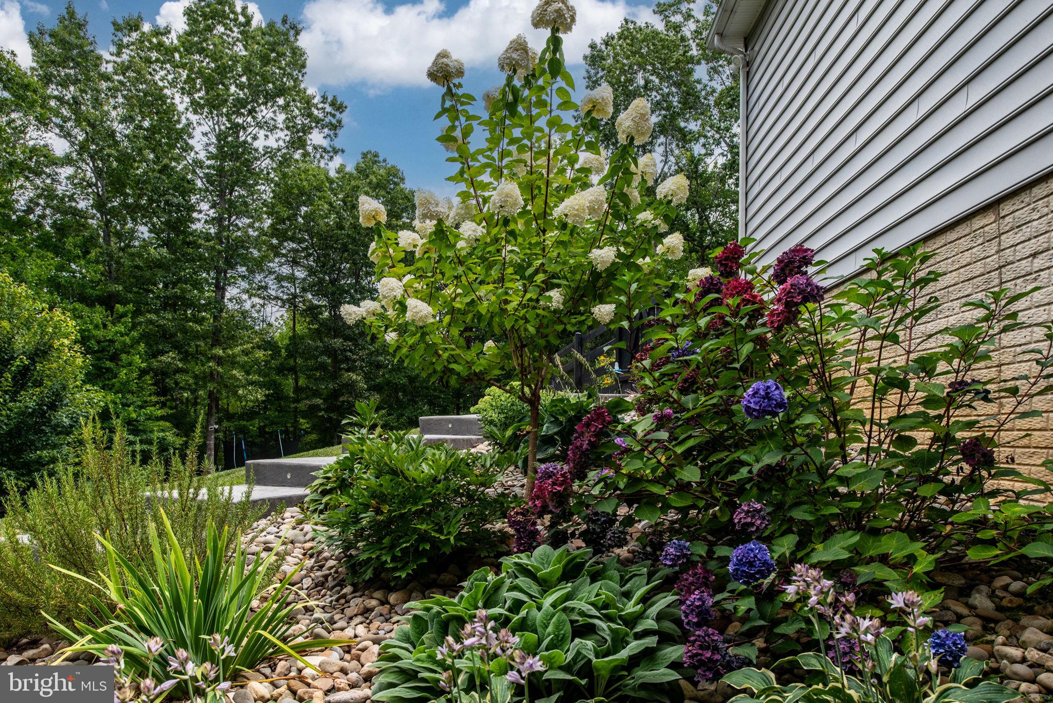 8109 Old Mineral Springs Rd