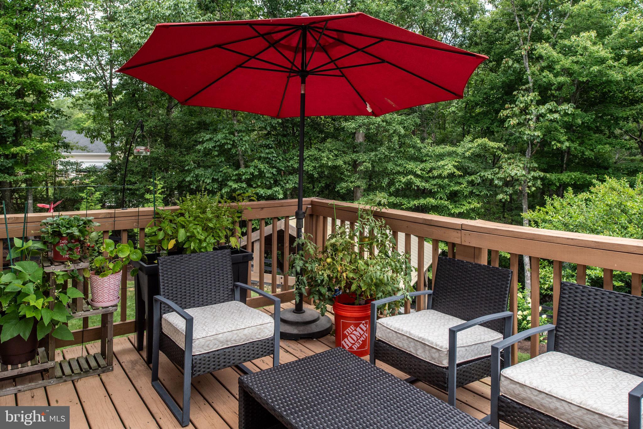 8109 Old Mineral Springs Rd