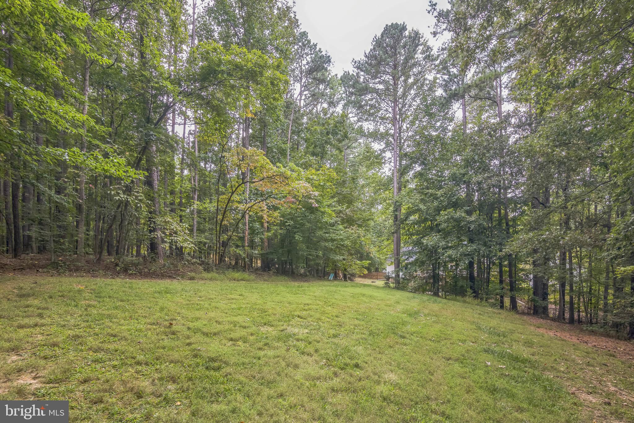 12719 BANNER PLANTATION DRIVE