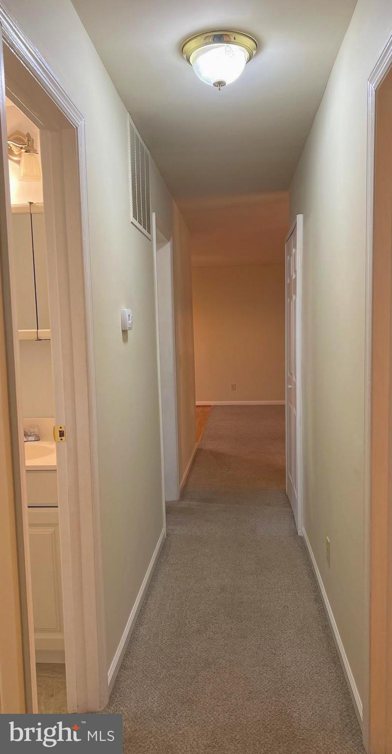 301 TULIP CIR
