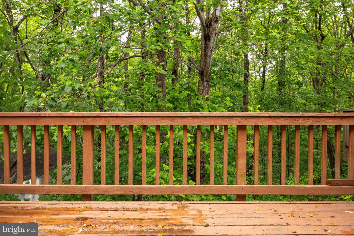 9814 Dominion Forest Cir