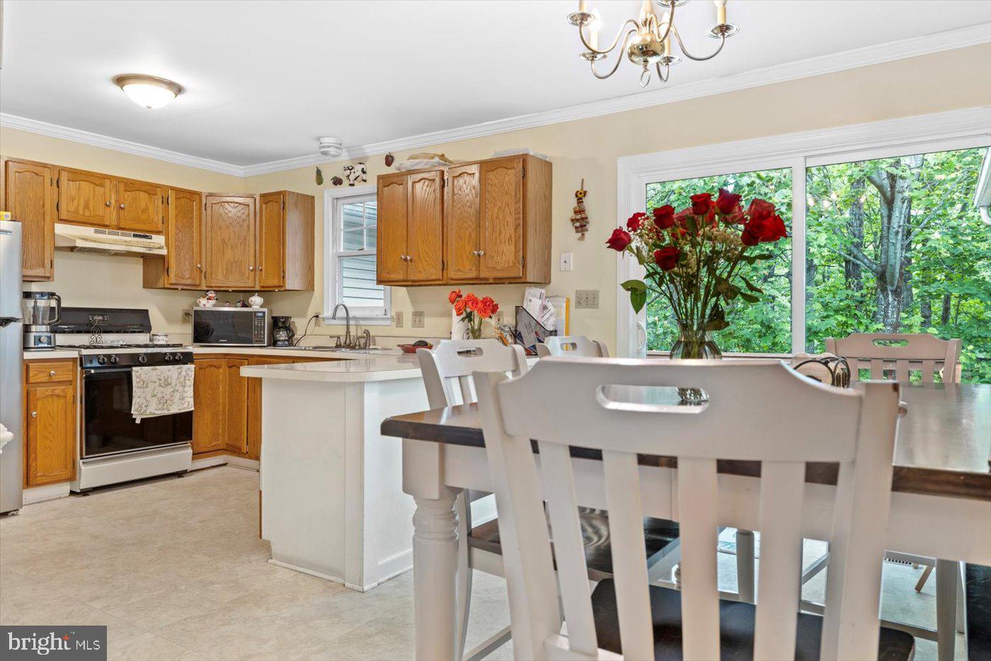 9814 Dominion Forest Cir