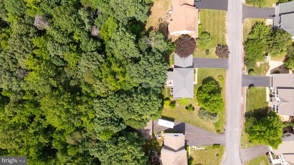 11606 New Bond St