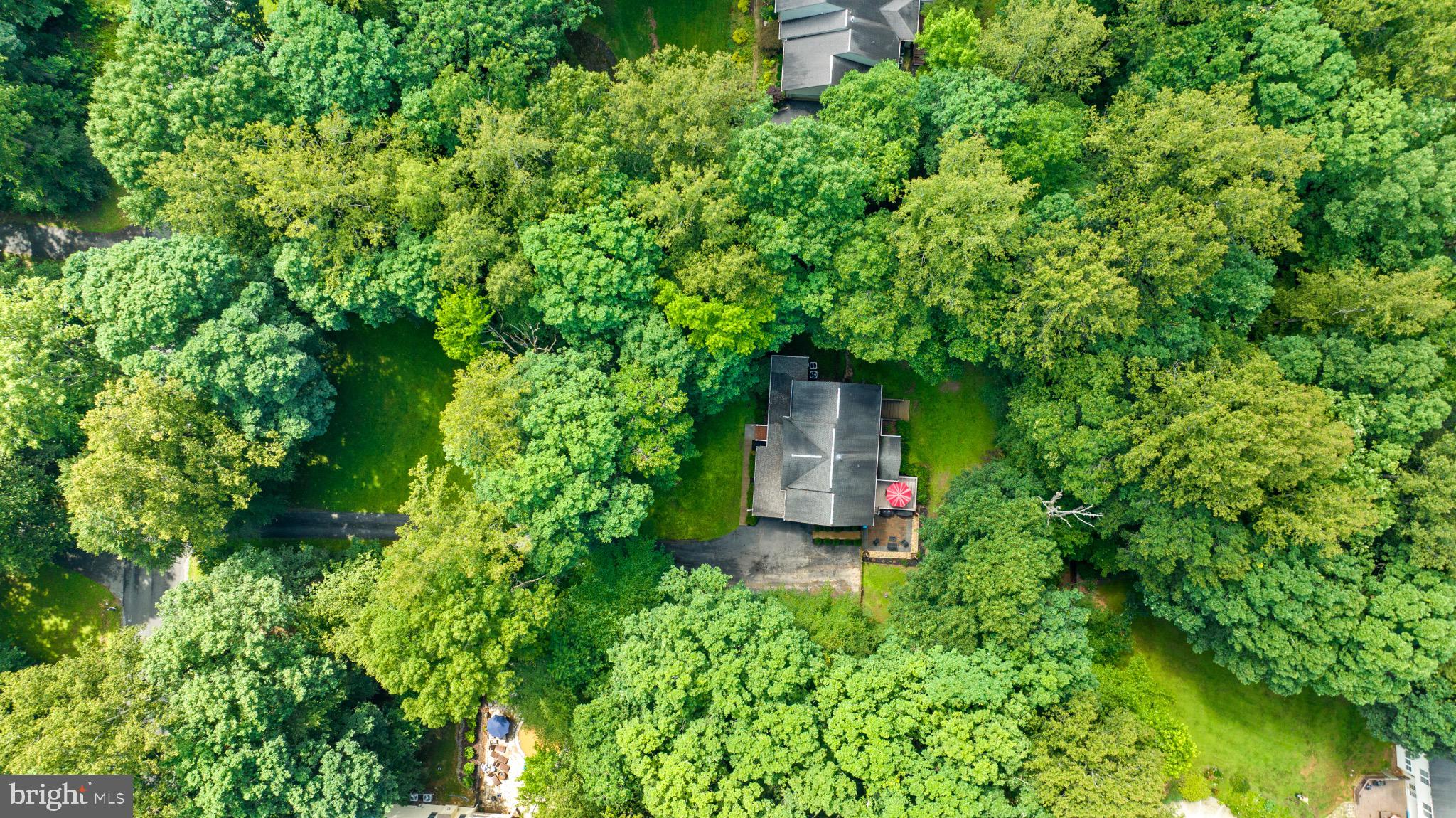 9109 SNOWY EGRET COURT