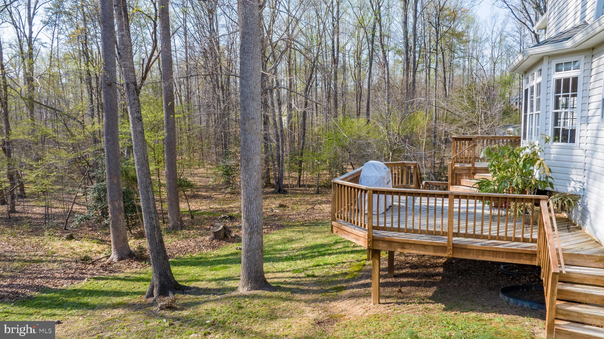 10910 CINNAMON TEAL DRIVE