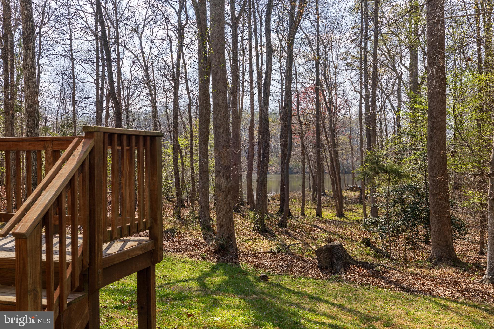 10910 CINNAMON TEAL DRIVE