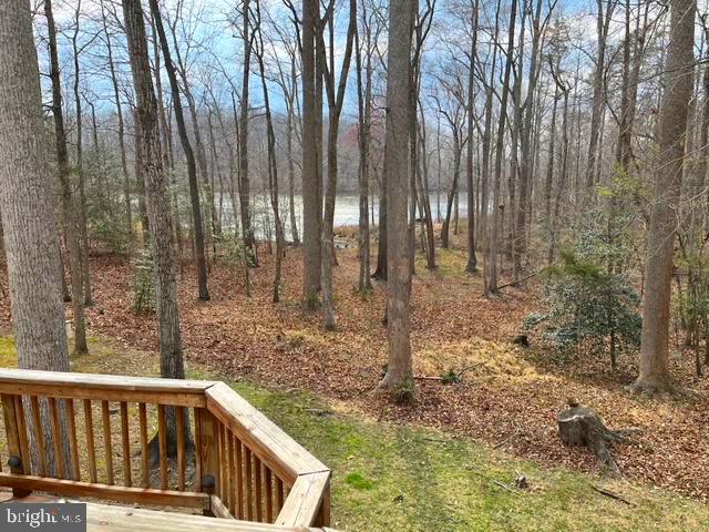 10910 CINNAMON TEAL DRIVE