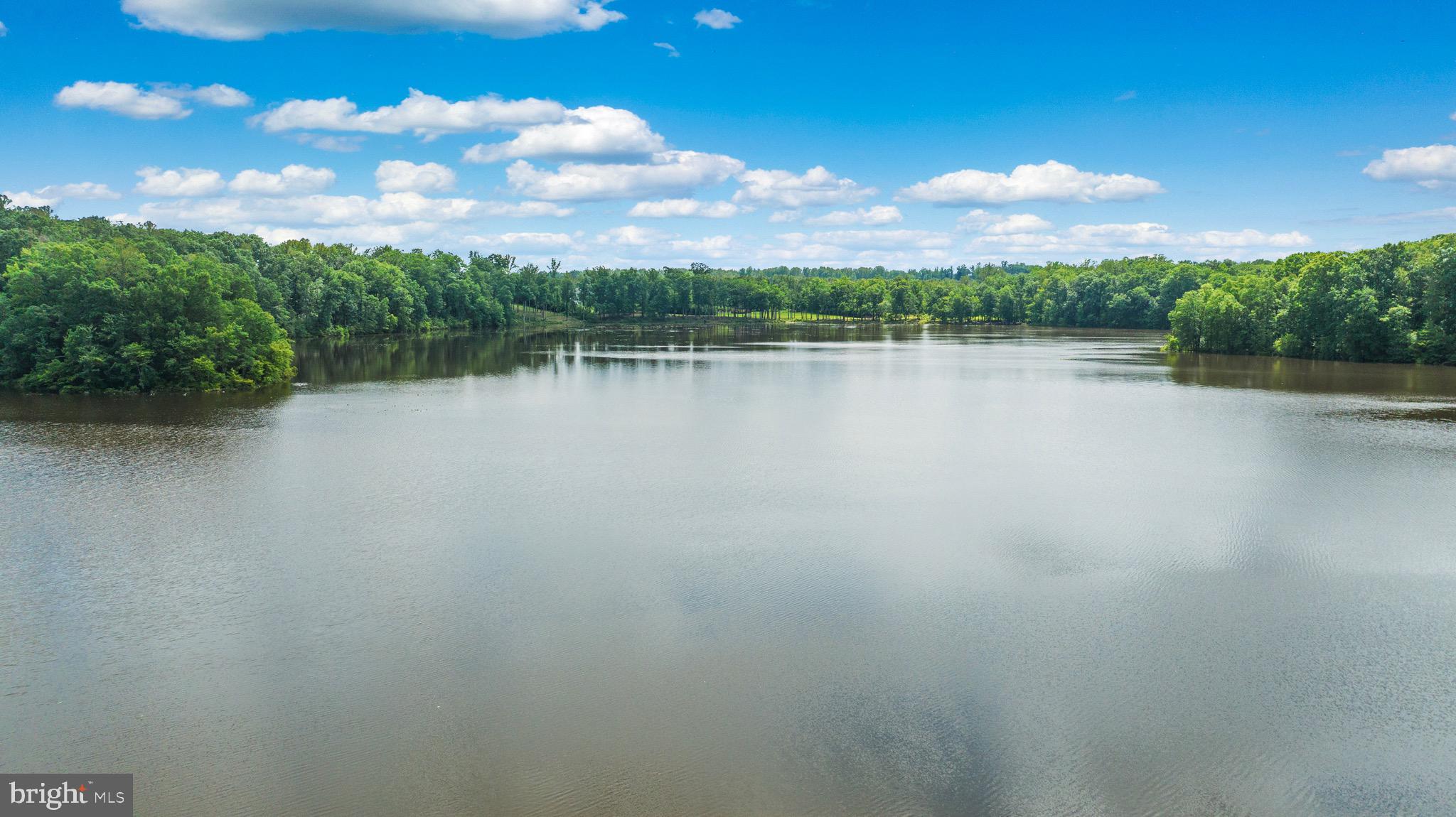 10910 CINNAMON TEAL DRIVE