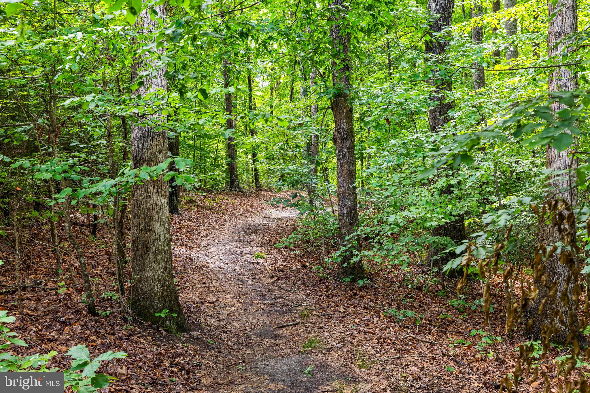 10910 CINNAMON TEAL DRIVE