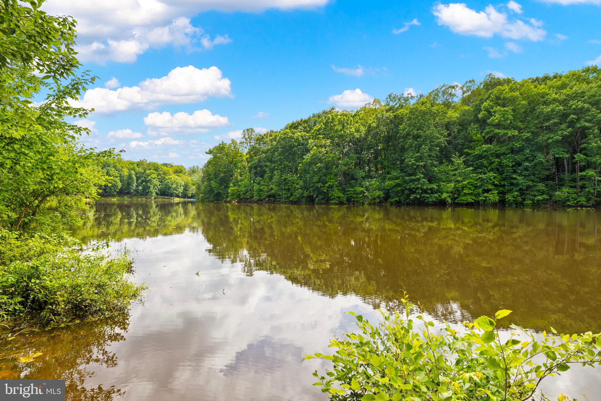 10910 CINNAMON TEAL DRIVE