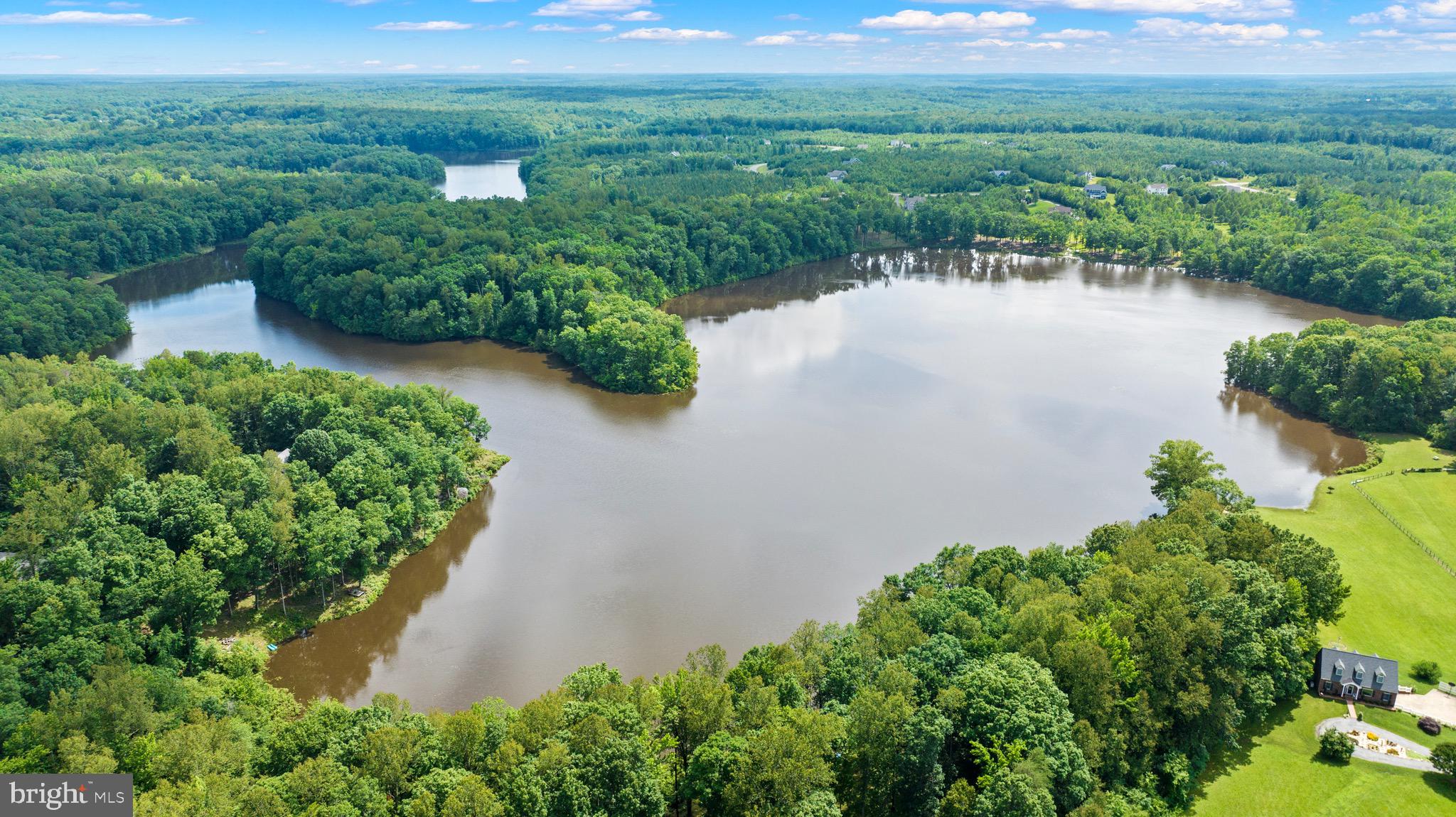 10910 CINNAMON TEAL DRIVE