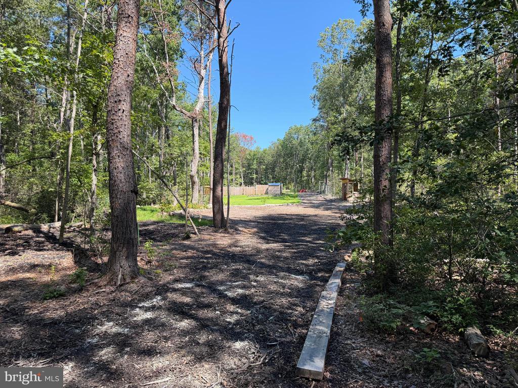 13017 ORANGE PLANK ROAD