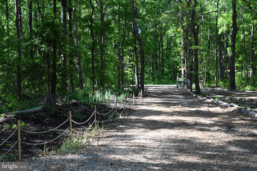 13017 ORANGE PLANK ROAD