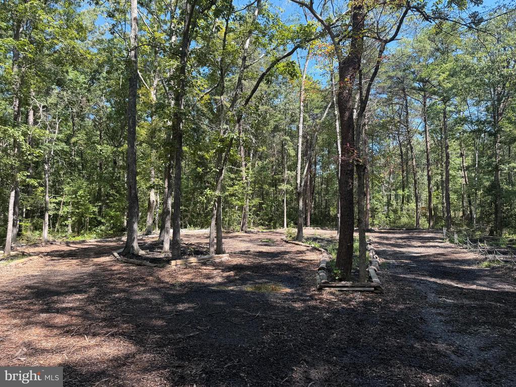13017 ORANGE PLANK ROAD
