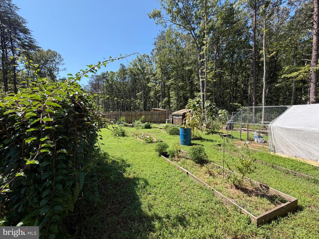 13017 ORANGE PLANK ROAD