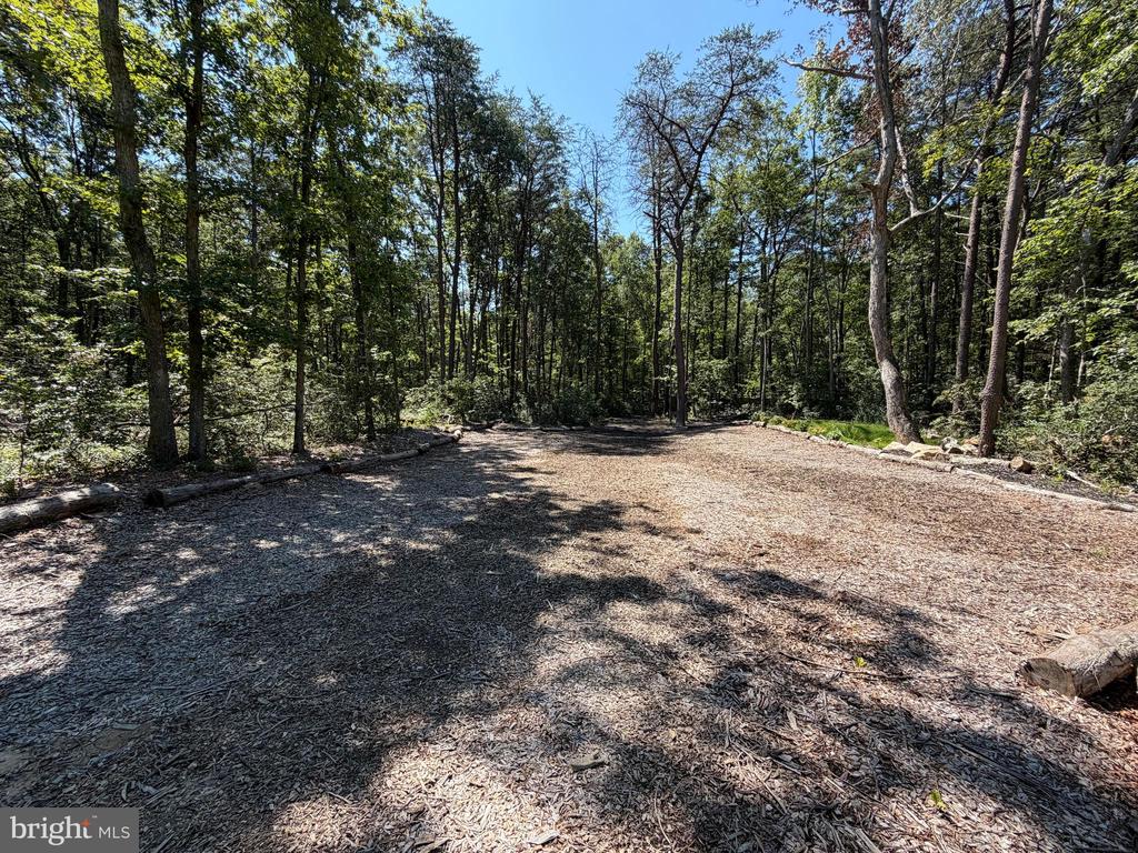 13017 ORANGE PLANK ROAD