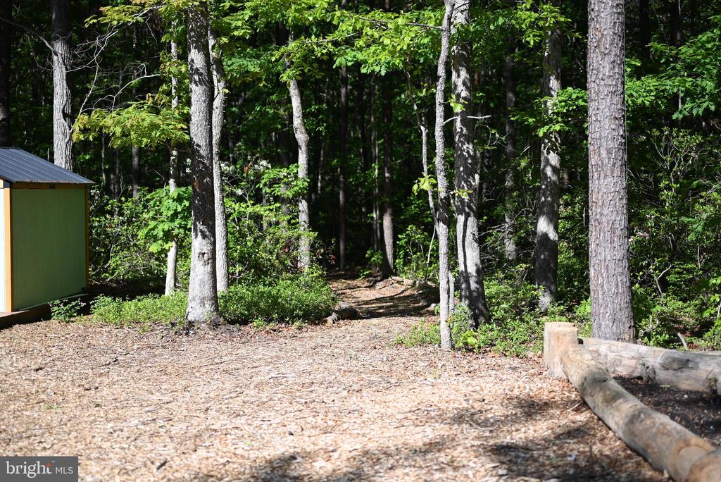 13017 ORANGE PLANK ROAD