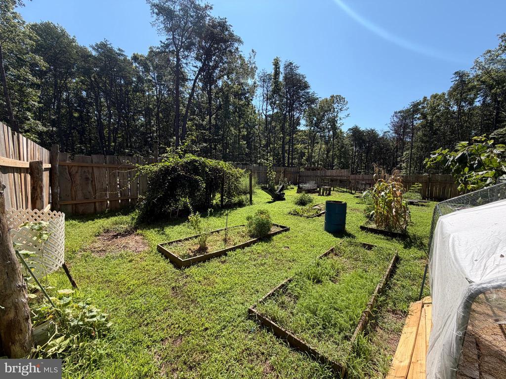 13017 ORANGE PLANK ROAD