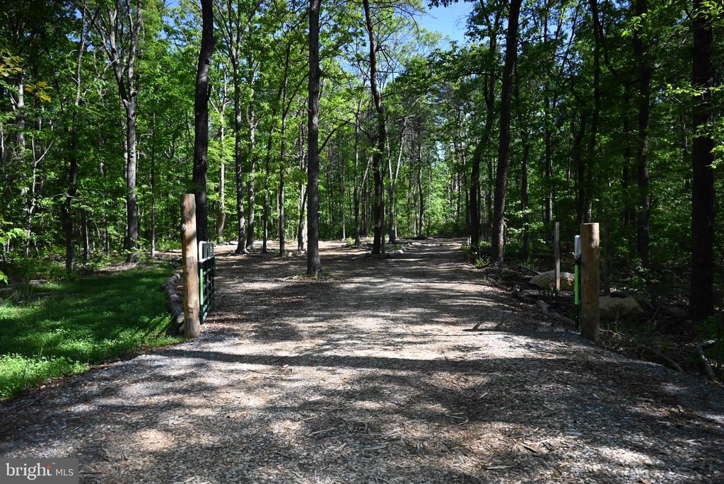 13017 ORANGE PLANK ROAD