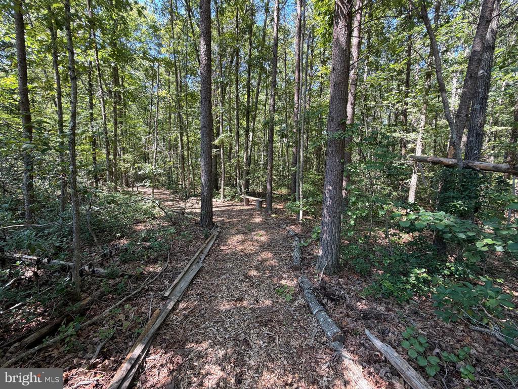 13017 ORANGE PLANK ROAD