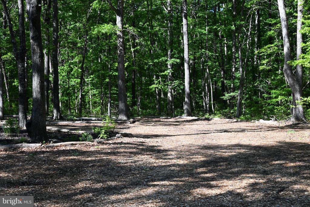 13017 ORANGE PLANK ROAD