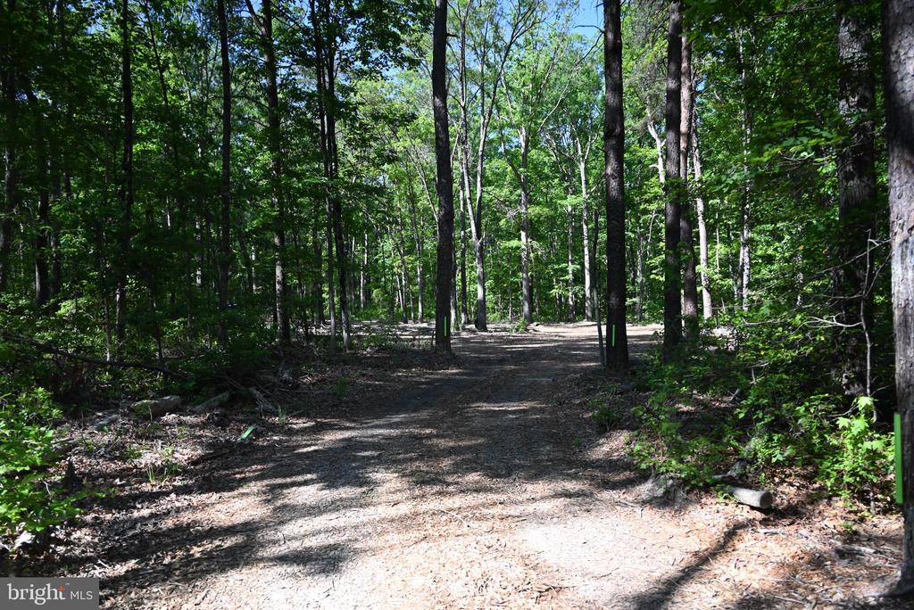 13017 ORANGE PLANK ROAD