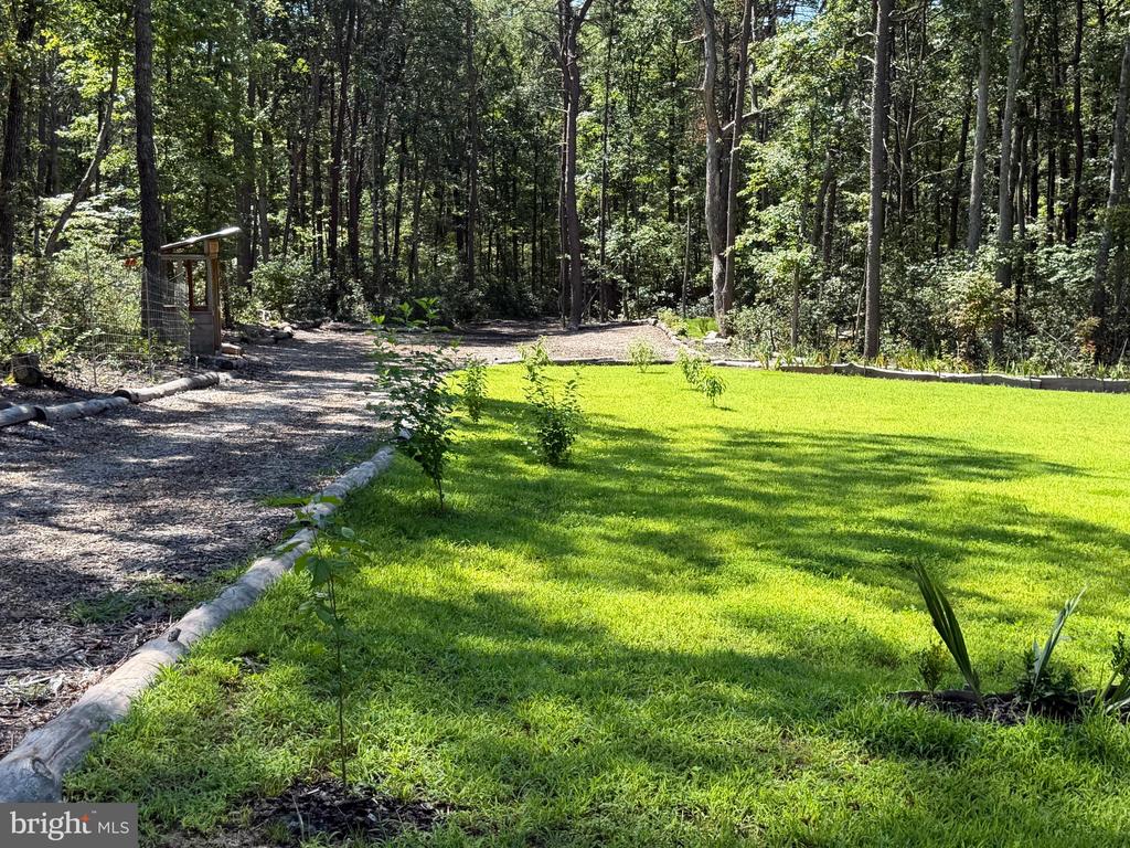 13017 ORANGE PLANK ROAD