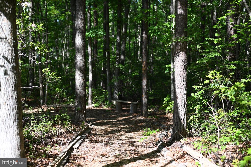 13017 ORANGE PLANK ROAD
