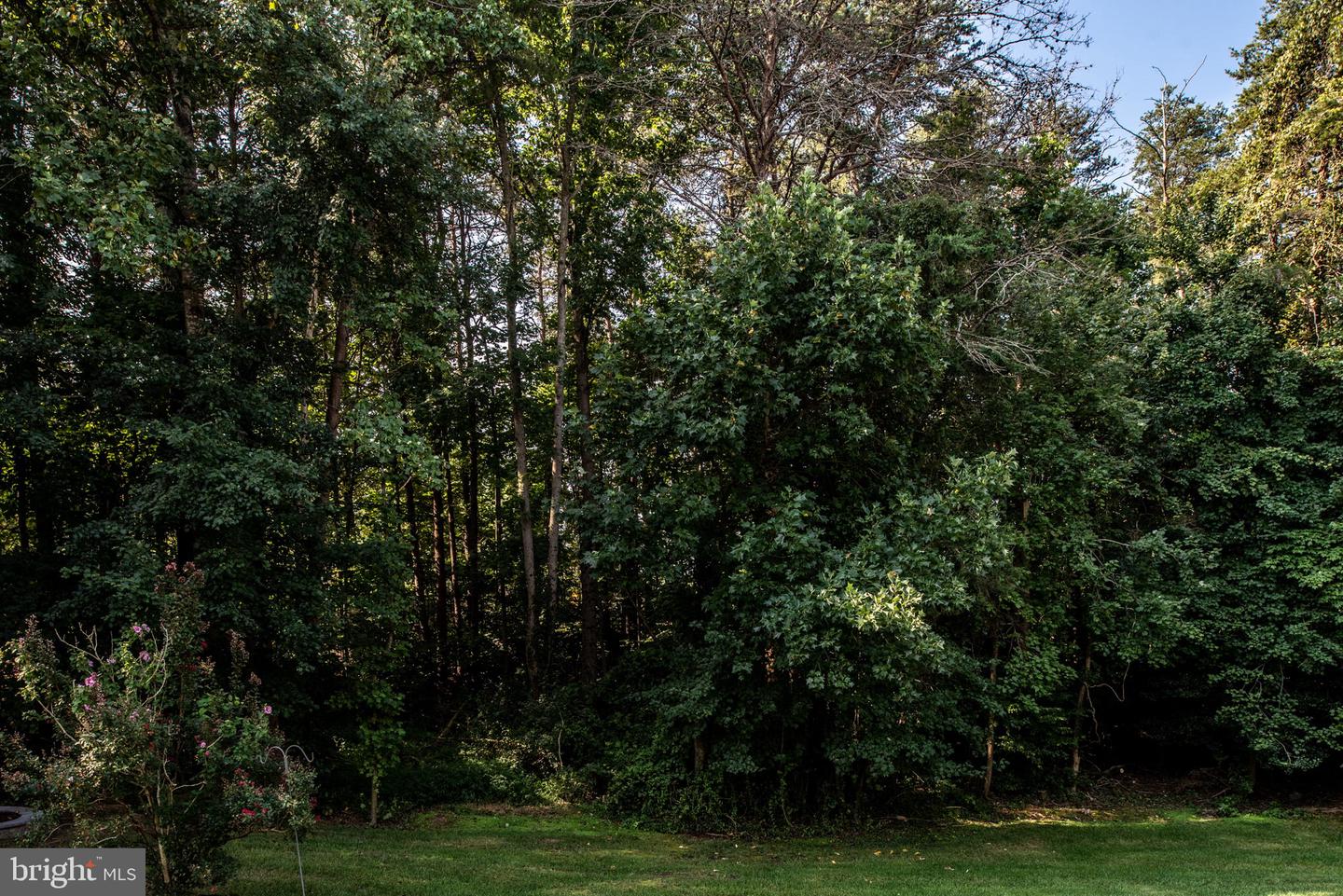170 Basalt Dr