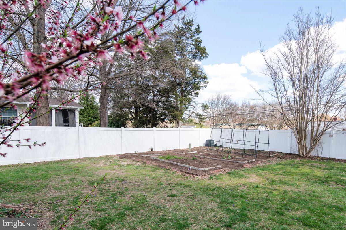 113 Cleremont Dr